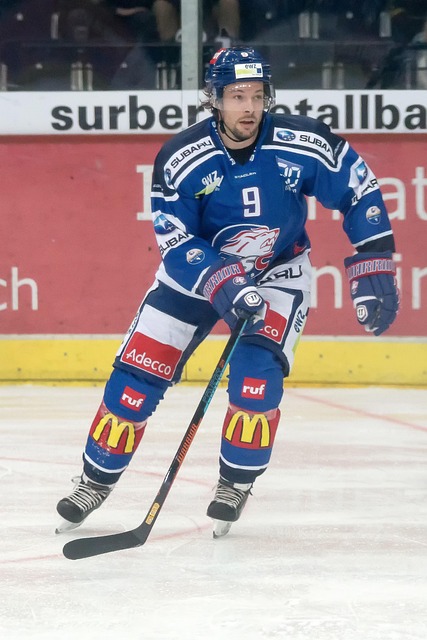 达沙特国王 达沙特国王