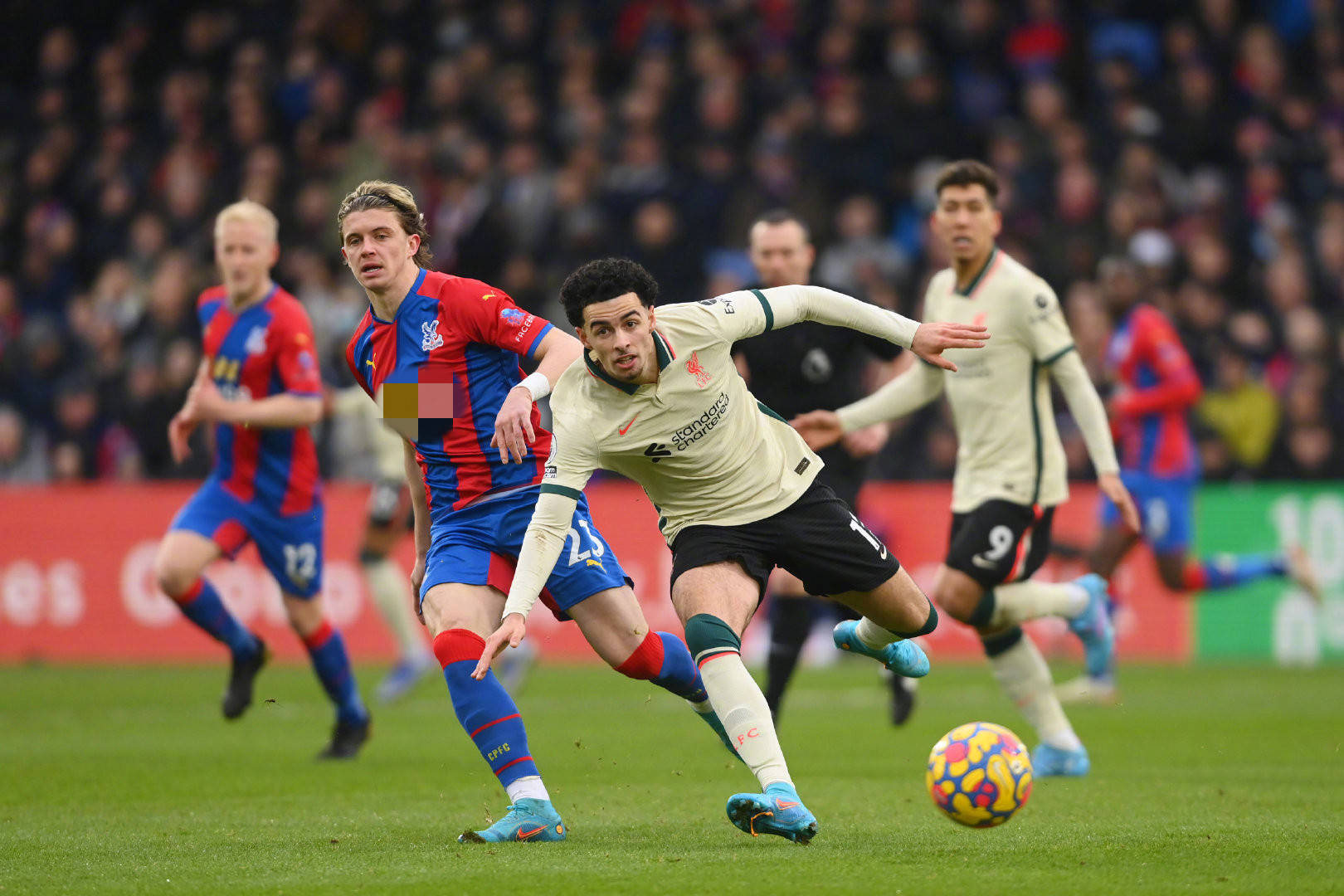 的前队友 的前队友